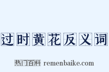 过时黄花反义词是什么意思的图片